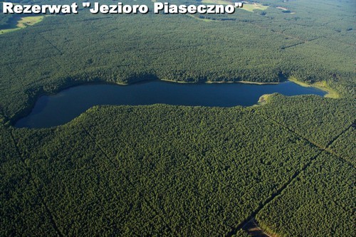 Rezerwat Jezioro Piaseczno